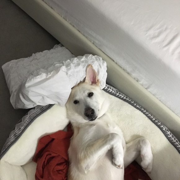 Meet your Posher, Bryan - Picture 1 of 1